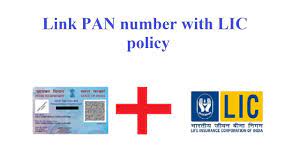 तुमच्या LIC च्या पॉलिसी ला पॅनकार्ड लिंक आहे का ?