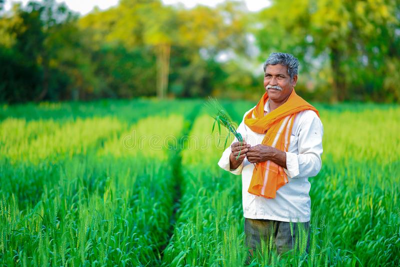  पीएम किसान योजनेच्या ई-केवायसीला मिळाली मुदतवाढ