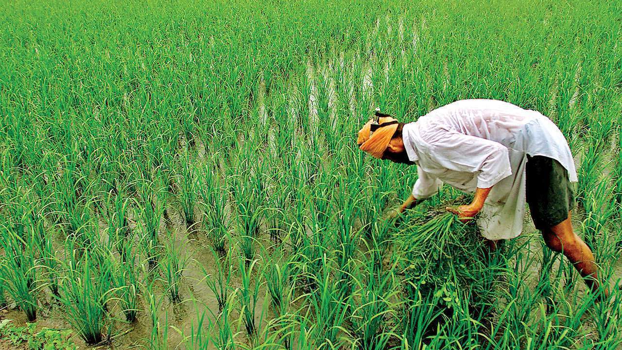 भारतीय शेतकर्‍यांच्या सबसीडी विरुद्ध अमेरिकन खासदार  थेट WTO