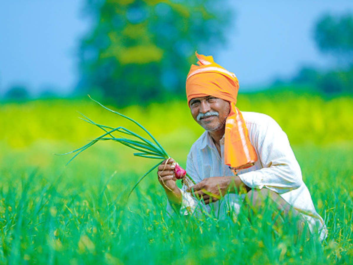 महत्त्वाची बातमी ; छोट्या शेतकऱ्यांना मोठा दिलासा..